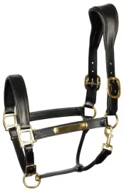 kantar-dla-konia-harry-s-horse-anatomic-skorzany-podszyty-czarny-full