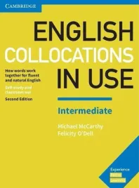 english-collocations-in-use-advanced-book