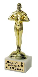 statuetka-wiktor-matura-szkola-zakonczenie-roku-zadanie-wykonane-u356-m3