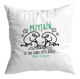 poduszka-prezent-dla-przyjaciela-przyjaciolki-przyjazn-tak-samo-zryte-banie