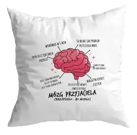 poduszka-prezent-dla-przyjaciela-przyjaciolki-przyjazn-mozg-przyjaciela