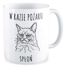 kubek-prezent-kot-kotel-w-razie-pozaru-splon
