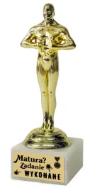 statuetka-wiktor-matura-szkola-zakonczenie-roku-zadanie-wykonane-u356-m3