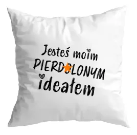 poduszka-prezent-zabawny-bez-cenzury-walentynki-jestes-moim-idealem