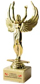 statuetka-wiktoria-dzien-kobiet-dziewczyny-1-miejsce-dziewczyna-pok05