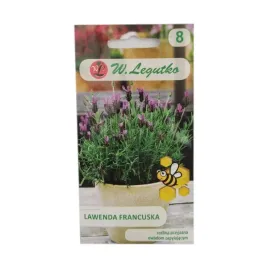 lawenda-francuska-003g
