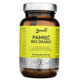 panaseus-pamiec-bez-granic-ginkgo-biloba-rozeniec