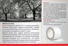 bros-tasma-lepowa-na-drzewa-owocowe-5m-skuteczna-oslona-przed-szkodnikami-ochrona-pni-roslin
