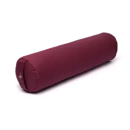 walek-bolster-do-jogi-yogi-and-yogini-ocs