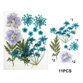 naturalne-suszone-kwiaty-do-zywicy-epoksydowej-zywica-epoksydowa-diy-k13