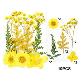 naturalne-suszone-kwiaty-do-zywicy-epoksydowej-k10