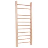 drabinka-master-195-x-80-cm