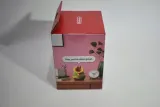 nintendo-talking-flower