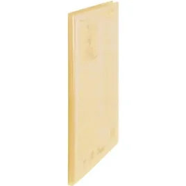 album-ofertowy-a4-20kieszeni-pomarancz-dcf242f-clear-pentel-recycology