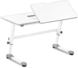 biurko-z-regulacja-wysokosci-fromm-strack-10260366