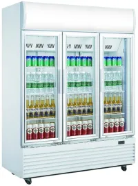 witryna-chlodnicza-przeszklona-1300l-szron-lg-1300f-silver
