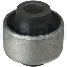 silentblock-wahacza-przod-delphi-td900w