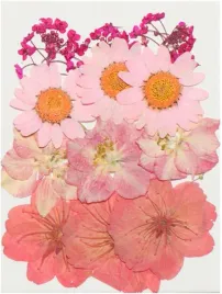 zestaw-suszone-kwiaty-prasowane-do-zywicy-diy-swiec-mydla-rozowe-k14