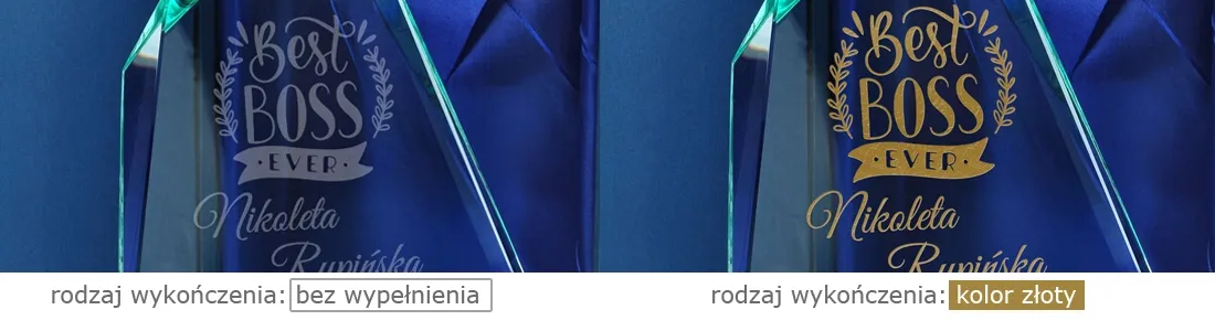 statuetka-blue-evolution-0104-firmowa