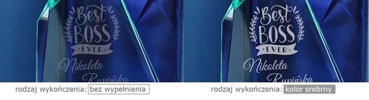 statuetka-blue-evolution-0104-firmowa-kod-producenta-0104-firmowa