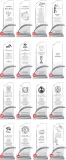statuetka-silver-inspire-0105-stan-nowy-stan-opakowania-oryginalne