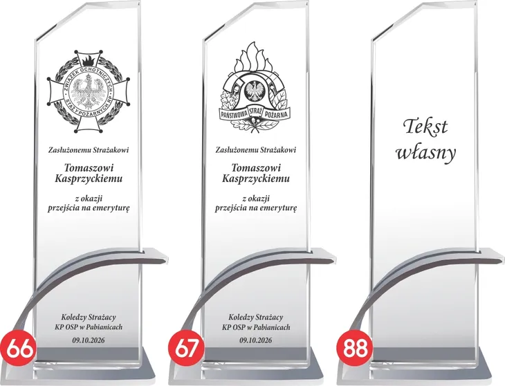 statuetka-silver-inspire-0105-straz-nazwa-statuetka-z-grawerem