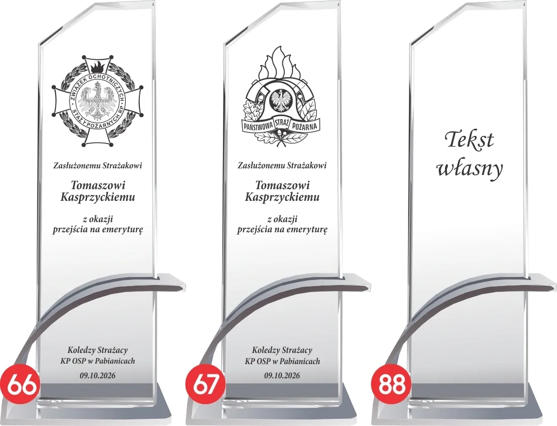 statuetka-silver-inspire-0105-straz