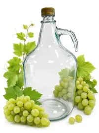 gasior-dama-5l-z-zakretka-balon-wino-nalewka-galon-na-wina