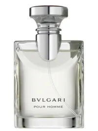 bvlgari-pour-homme-edp-100-ml-tester