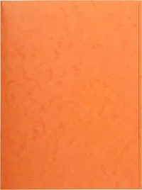 teczka-na-dokumenty-a4-papierowa-pomaranczowa