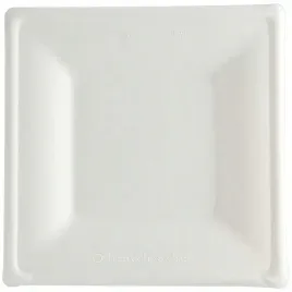 talerz-z-trzciny-cukrowej-262-x-262-cm-50-szt