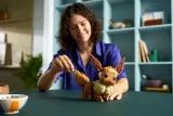72151-lego-pokemon-eevee-liczba-elementow-587