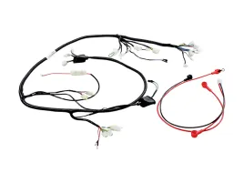 wiazka-przewodow-skuter-50cc-2t-ba0tian-1pe40qmb