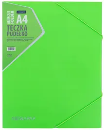 teczka-pudelko-z-gumka-a4-neon-line-astra-zielona