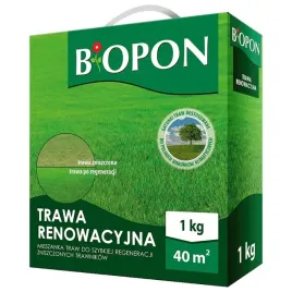 trawa-renowacyjna-1-kg