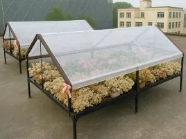 plandeka-przezroczysta-ogrodowa-tarasowa-wodoodporna-z-oczkami-2x3m-210g-m2
