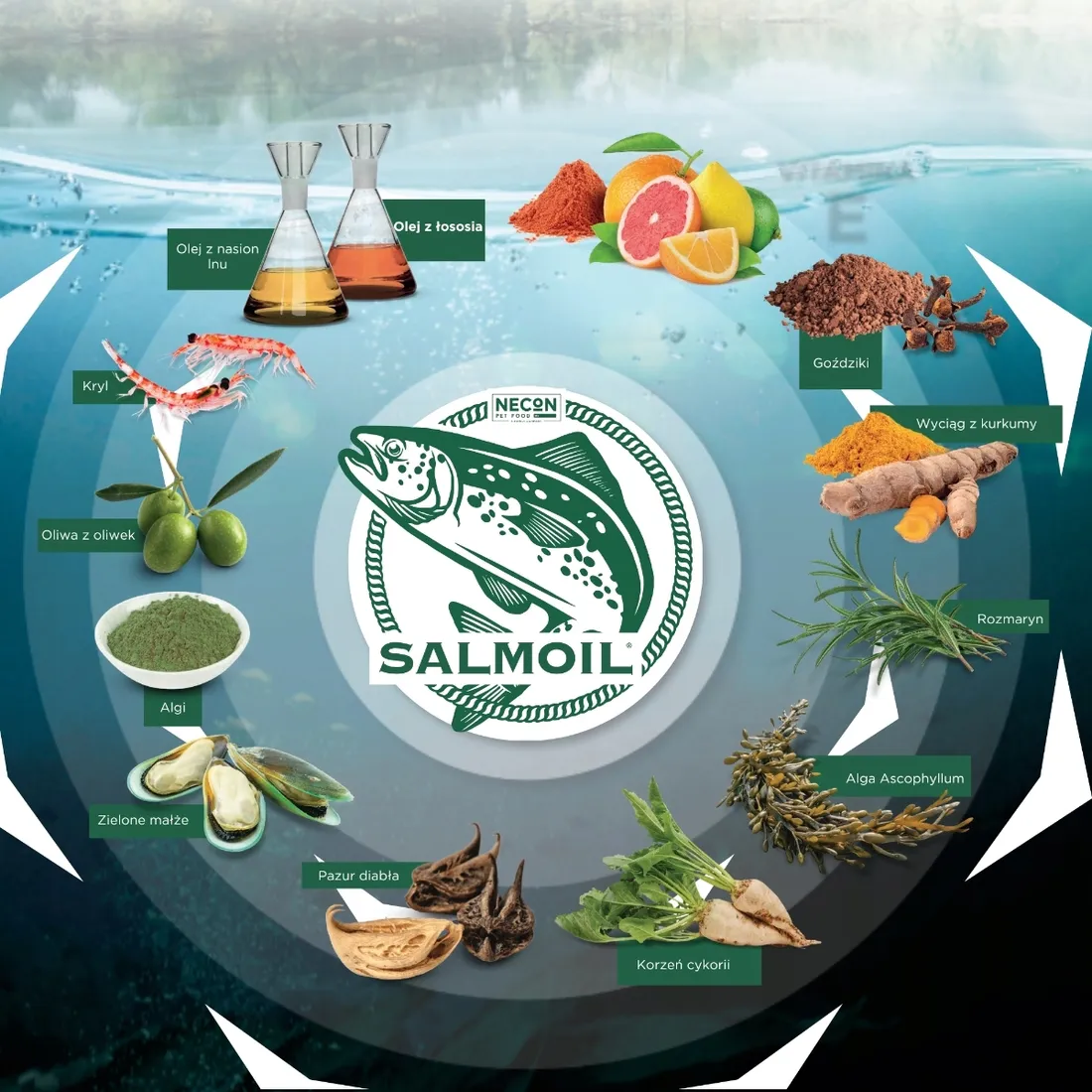 salmoil-ricetta-2-intestinal-250-ml