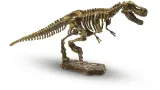 ses-explore-wykopaliska-dinozaur-stan-nowy