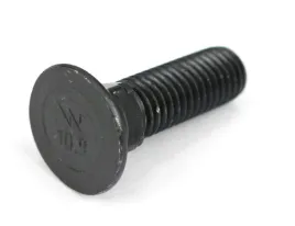sruba-pluzna-podsadzana-d-608-m12x30mm-kl-10-9-warynski-10kg