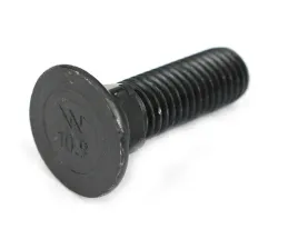 sruba-pluzna-podsadzana-d-608-m12x40mm-kl-10-9-warynski-10kg