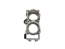 cylinder-srt800-srt800s-or-13903606bg30-qj