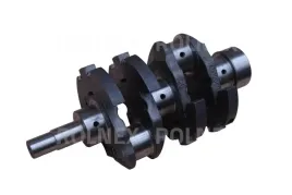 wal-korbowy-t25-14-h-or-d211005011b2