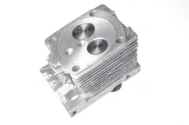 glowica-silnika-t25-s-t-rosja-or-d37m1003008-b5r