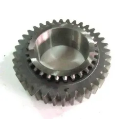 kolo-iv-biegu-bizon-rekord-or-505874020