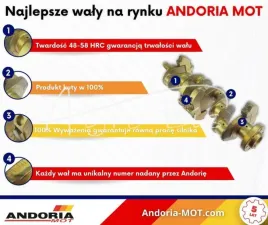 wal-korbowy-3132002k91-mf3-azotowany-andoria