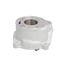 promx-cylinder-ktm-sx-50-09-23-husqvarna-tc-50-17-23-gas-gas-mc-50-21-