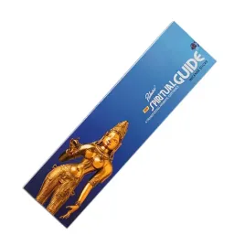 kadzidelka-spiritual-guide-incense-sticks-padmini-50szt