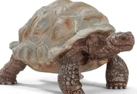 figurka-zolw-olbrzymi-8-cm-realistyczna-zabawka-dla-dzieci-3