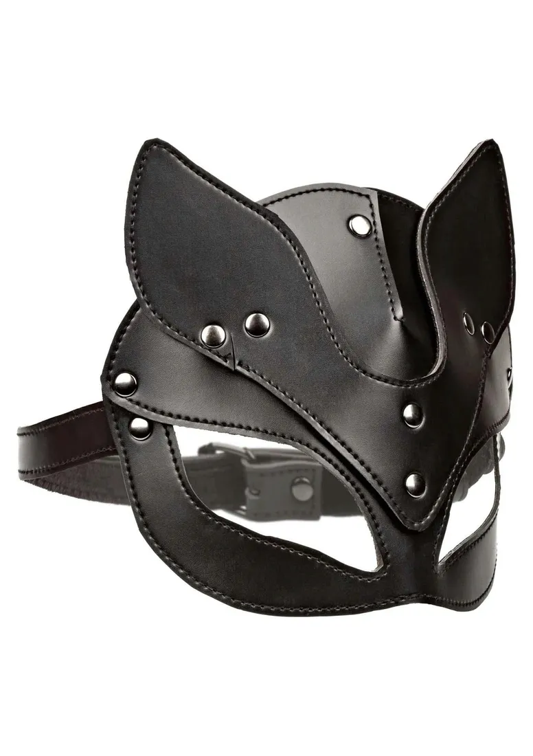 cat-mask-cat-mask