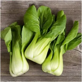 kapusta-chinska-pak-choi-smak-azji-w-twoim-domu-nasiona-1-g